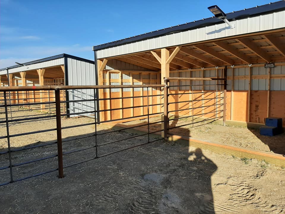 All Steel Welded Set of Horse Enclosures