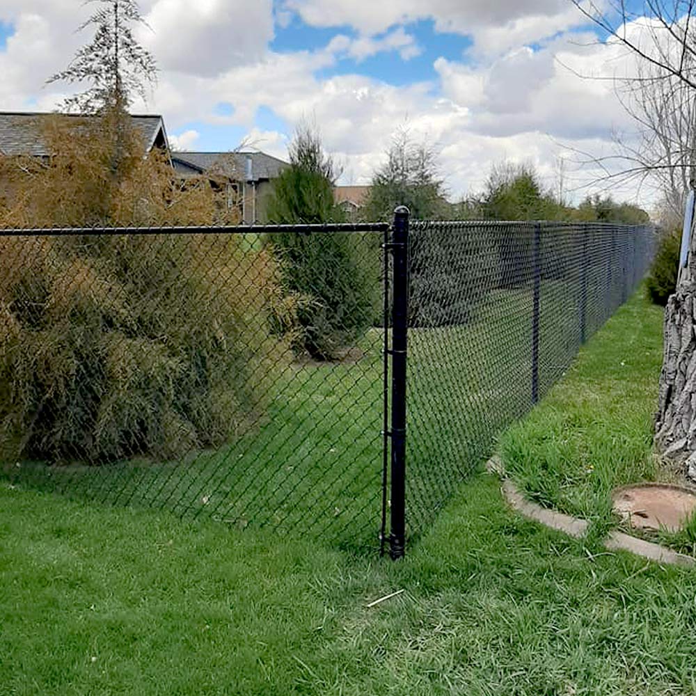 Classy Ornamental and Black Chainlink Fence
